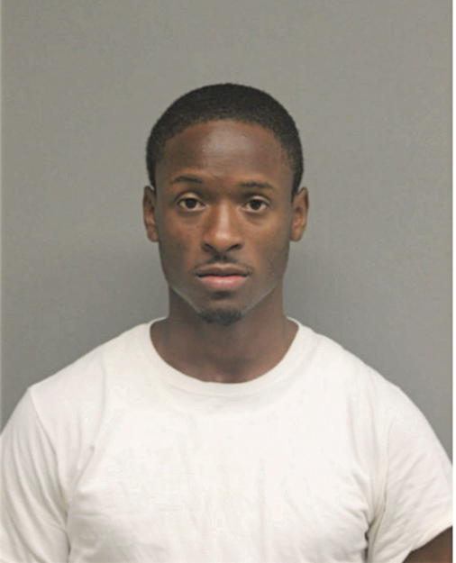 BRIAN R HUNT, Cook County, Illinois
