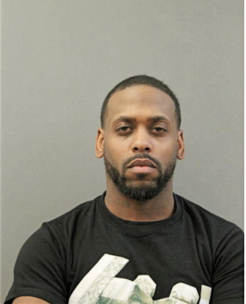 MICHAEL A JOHNSON, Cook County, Illinois