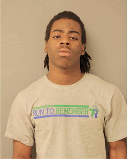 BRIAN D KING, Cook County, Illinois