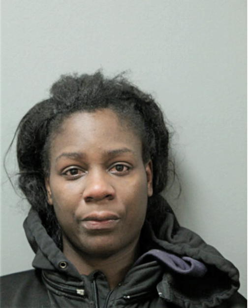 DOROTHY J KING, Cook County, Illinois