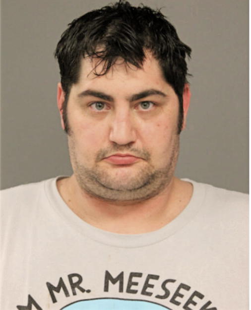 JOSEPH T MAGLIANO, Cook County, Illinois