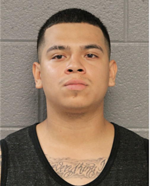 BRYAN MALDANADO, Cook County, Illinois