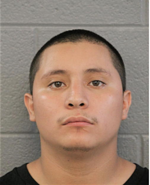 JUAN H MARTINEZ, Cook County, Illinois