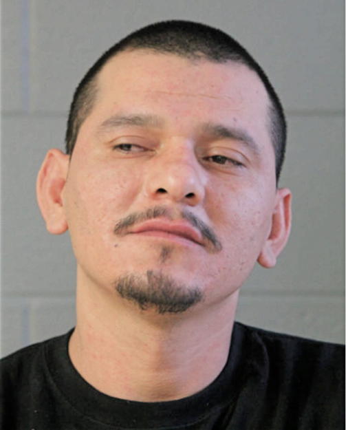 LUIS A MARTINEZ-LOPEZ, Cook County, Illinois