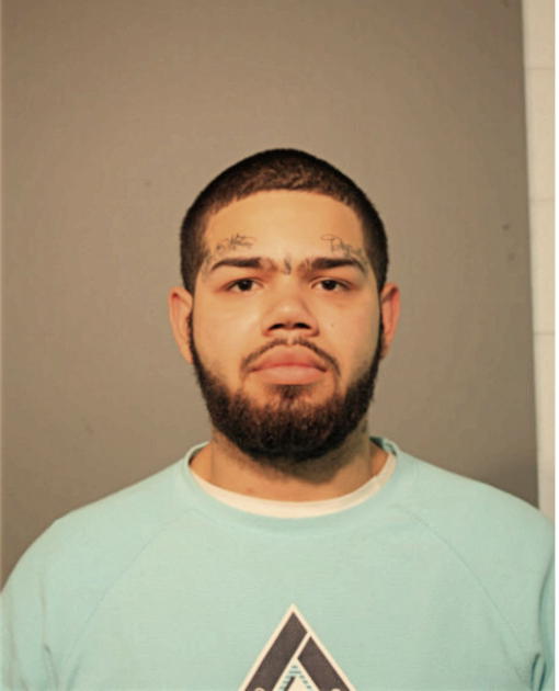 JUSTIN D MENDOZA, Cook County, Illinois