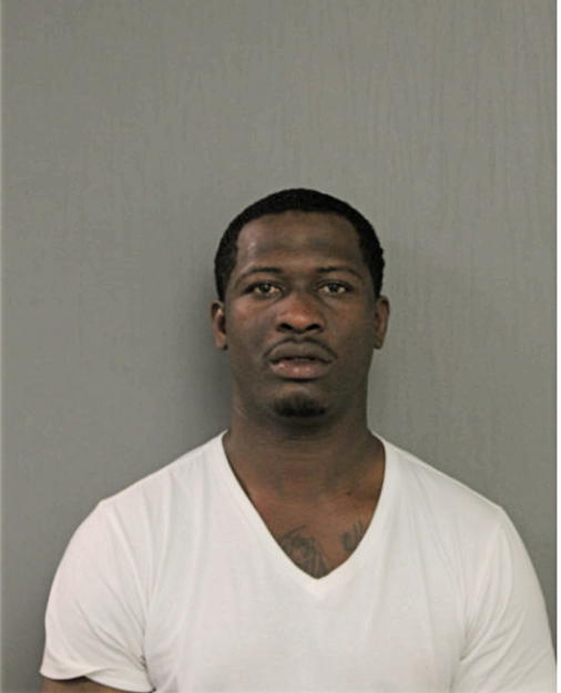 BRYANT L NELSON, Cook County, Illinois