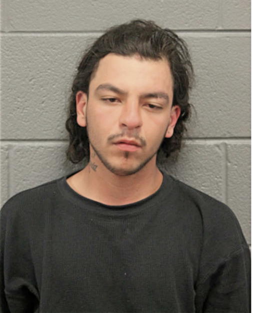 MICHAEL PADILLA, Cook County, Illinois