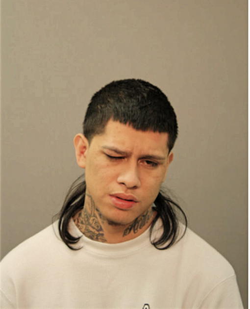 MARCO TAVIDA, Cook County, Illinois