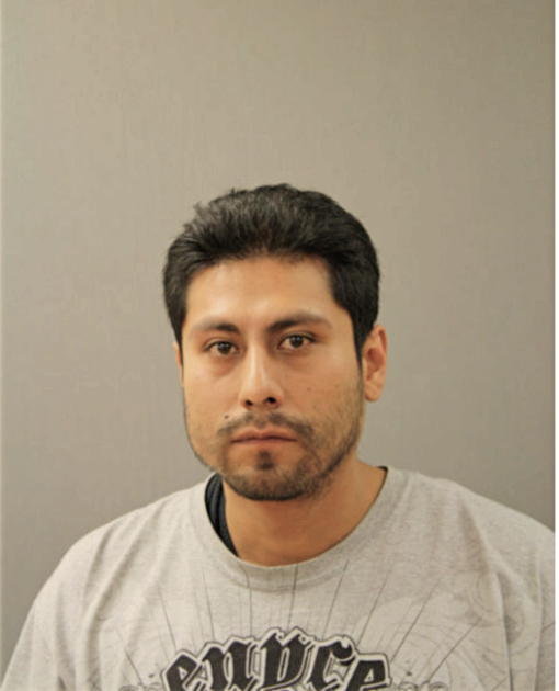 FRANCISCO TOLAYO, Cook County, Illinois