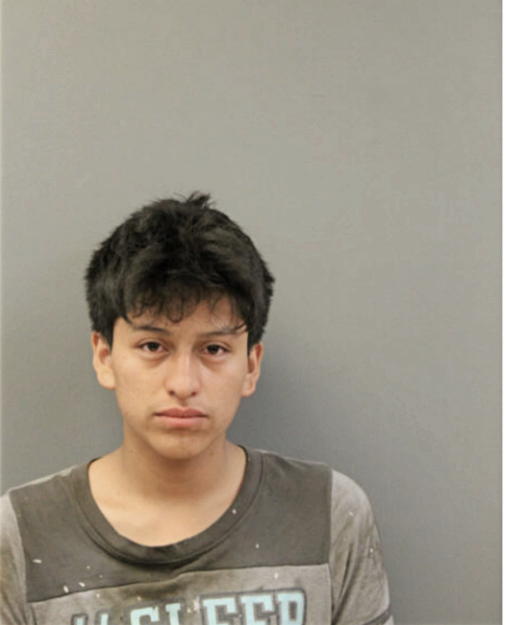 JOSE VALENTIN UCHO JUCA, Cook County, Illinois