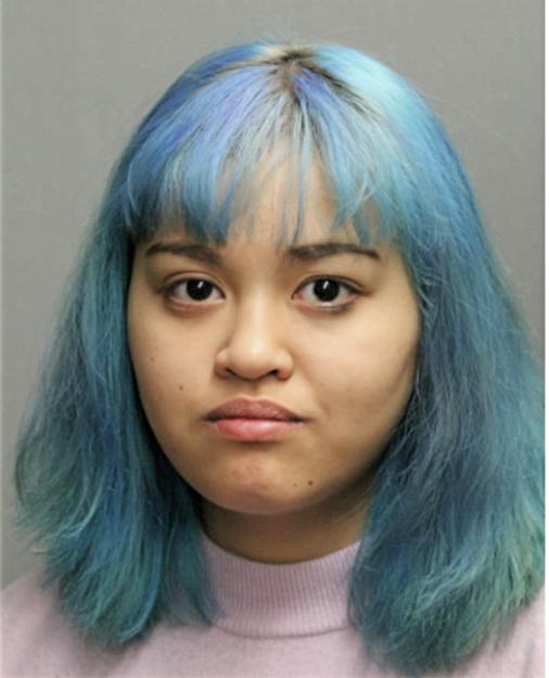 MIRANTI P URBANINGRUM, Cook County, Illinois