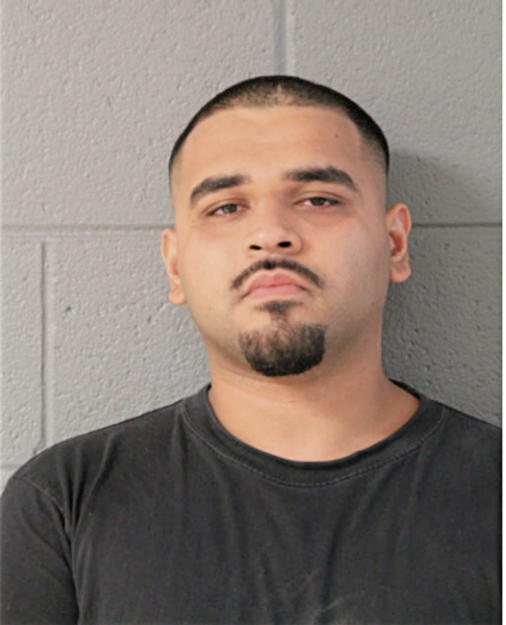 DOMINIC M VELASQUEZ, Cook County, Illinois