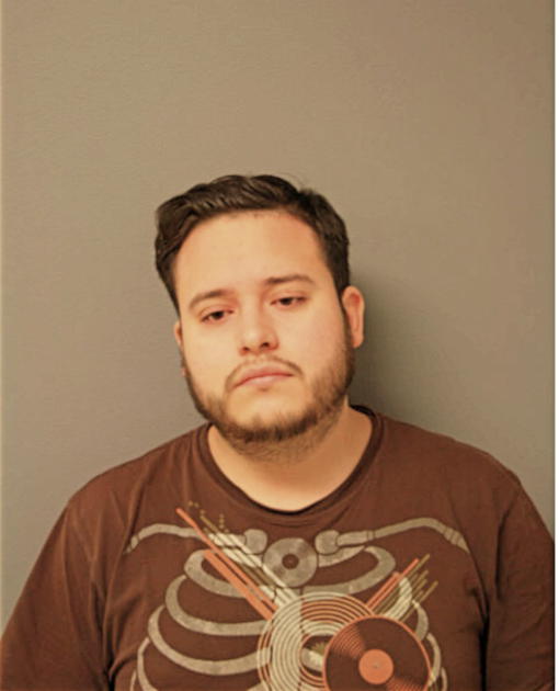 DIEGO VIDES, Cook County, Illinois