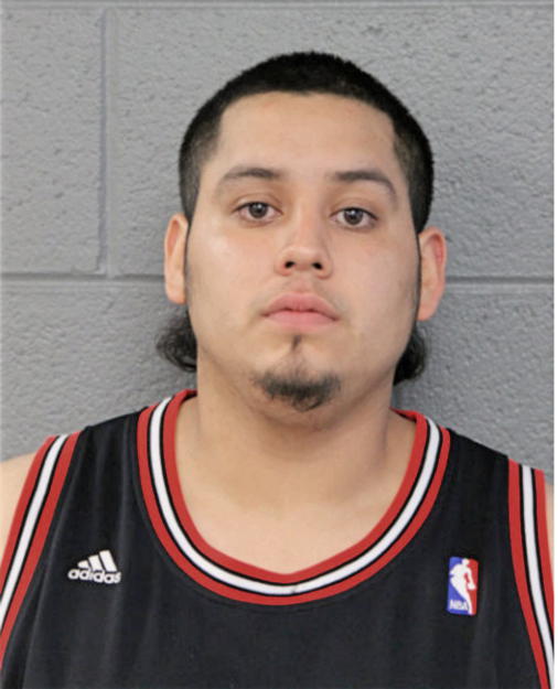 GERARDO A VILLARREAL, Cook County, Illinois