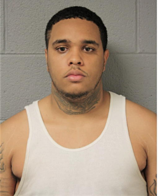BRAYLEN S WATKINS, Cook County, Illinois