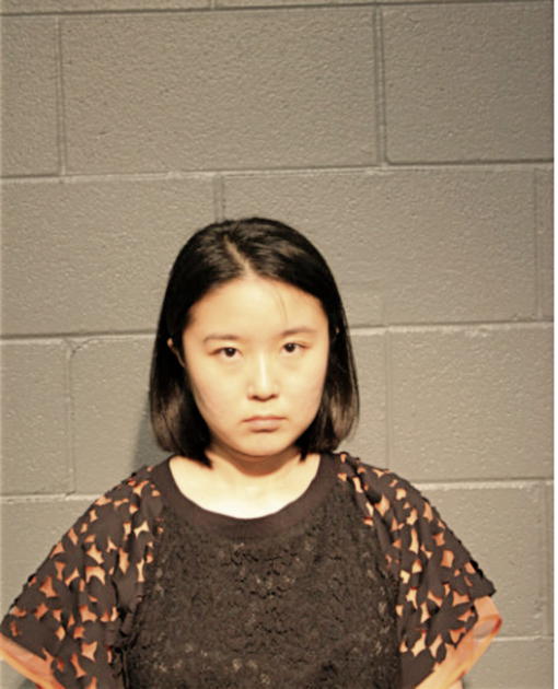 YAN WU, Cook County, Illinois