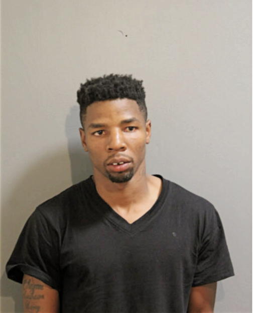 LARRY E ADAMS, Cook County, Illinois