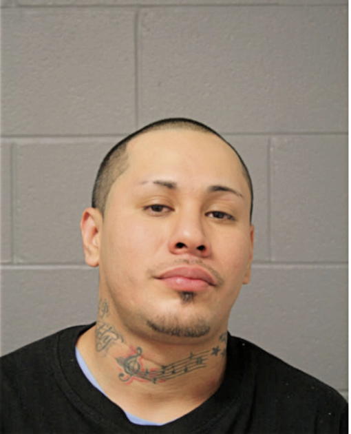 RAUL ALVARADO, Cook County, Illinois