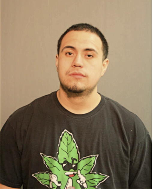 LUIS A ALVAREZ, Cook County, Illinois