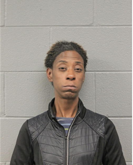MARIE T ANDERSON, Cook County, Illinois
