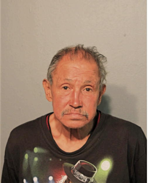 CESAR M ANGELES, Cook County, Illinois