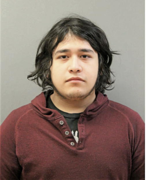 ERIK AVILA, Cook County, Illinois
