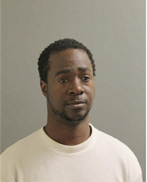 JOEY A BRANDON, Cook County, Illinois