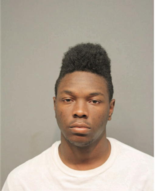 MATTHEW W BRIGHT, Cook County, Illinois
