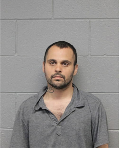 GEORGE L CANET, Cook County, Illinois