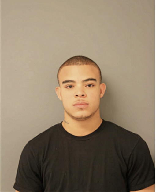 LEO CARTER, Cook County, Illinois