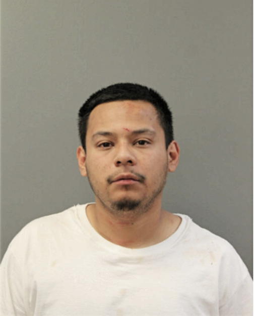 BRIAN CORNEJO, Cook County, Illinois