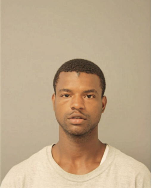 ORLANDO B ELLISON, Cook County, Illinois