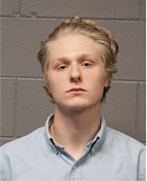 TYLER ENDICOTT, Cook County, Illinois