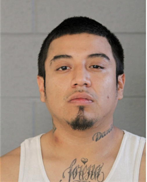 BRIAN SALVADORE ENRIQUEZ, Cook County, Illinois