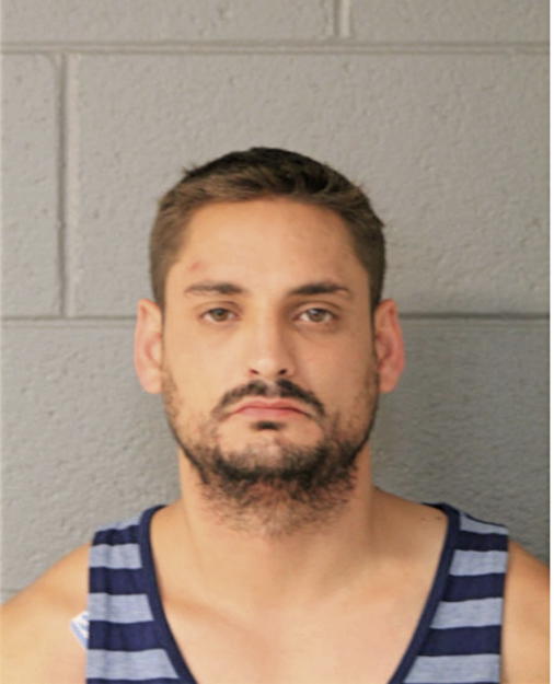 ANTHONY R FANKHAUSER, Cook County, Illinois