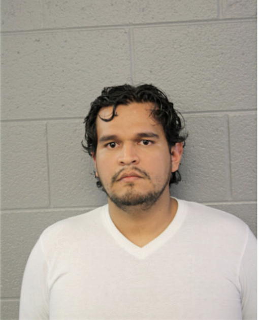 LUIS FUENTES, Cook County, Illinois