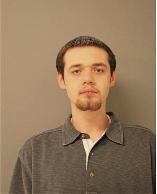NICHOLAS M GARRITY, Cook County, Illinois