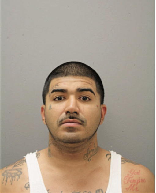 ALEAXNDER GONZALEZ, Cook County, Illinois