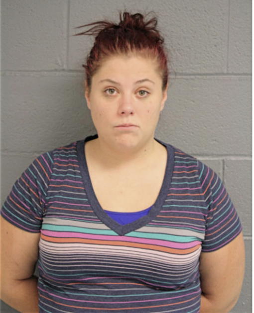 LAUREN S GRAMZA, Cook County, Illinois
