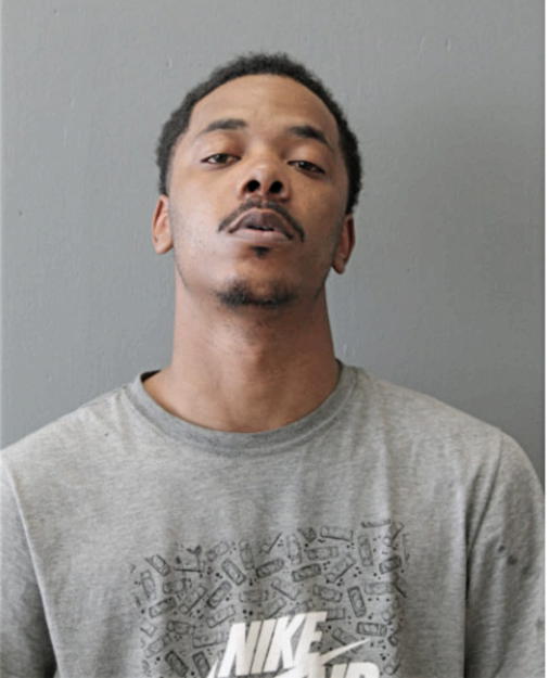 TEWAN GRANT, Cook County, Illinois