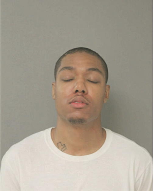 NICHOLAS T GREEN, Cook County, Illinois