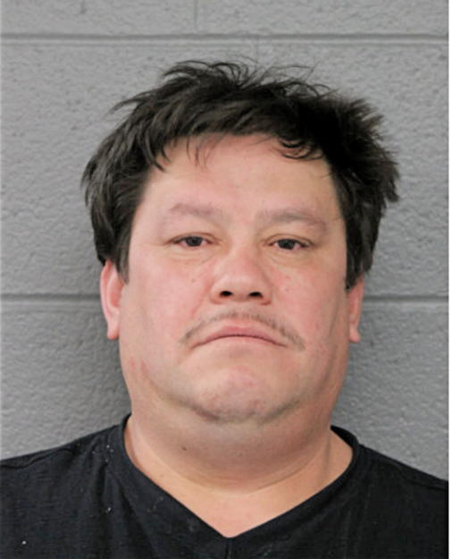 CARLOS LUNA GUZMAN, Cook County, Illinois