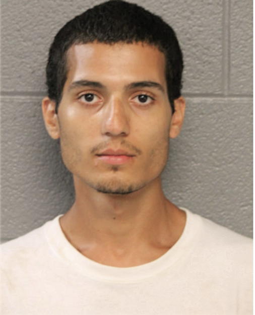 FROYLAN HERNANDEZ, Cook County, Illinois