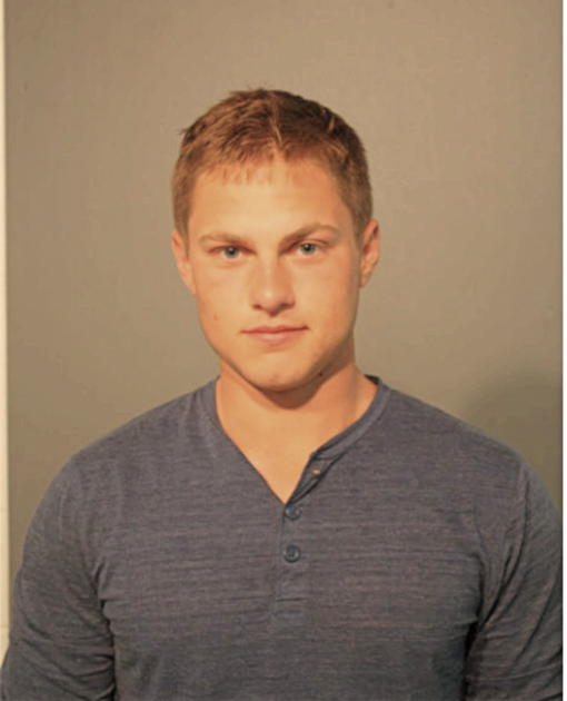 MICHAEL C HEYNE, Cook County, Illinois