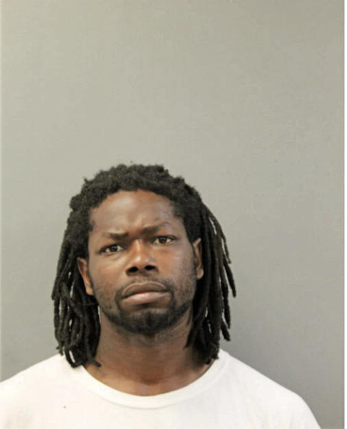 RANDY L JENKINS, Cook County, Illinois