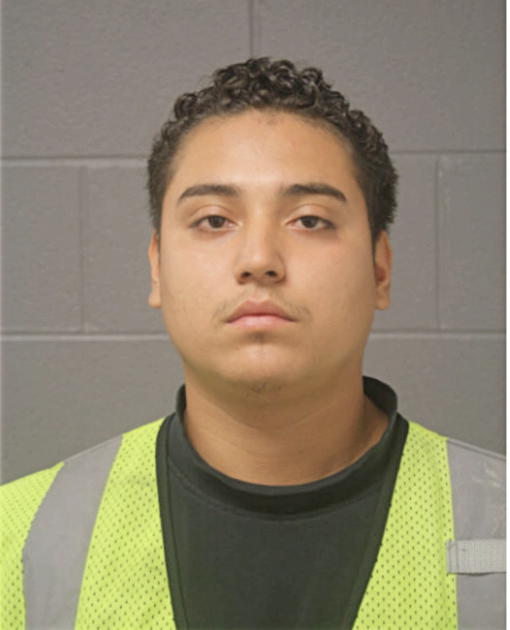 LUIS C JIMENEZ, Cook County, Illinois