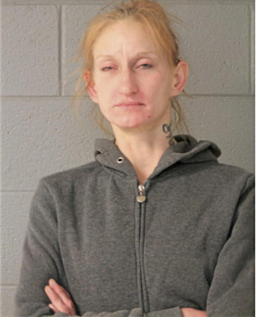CRYSTAL G KING, Cook County, Illinois