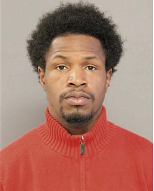 DOMINIQUE T LOWE, Cook County, Illinois