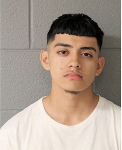 CARLOS JR MENDEZ, Cook County, Illinois