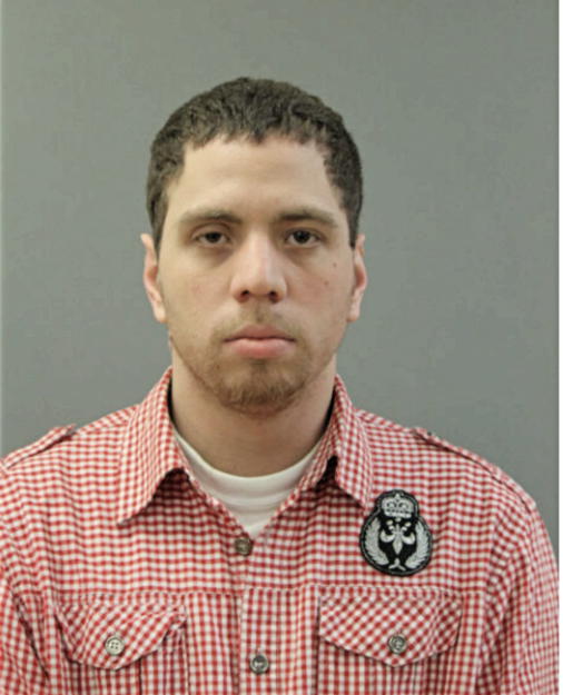 LUIS X MORALES GONZALEZ, Cook County, Illinois